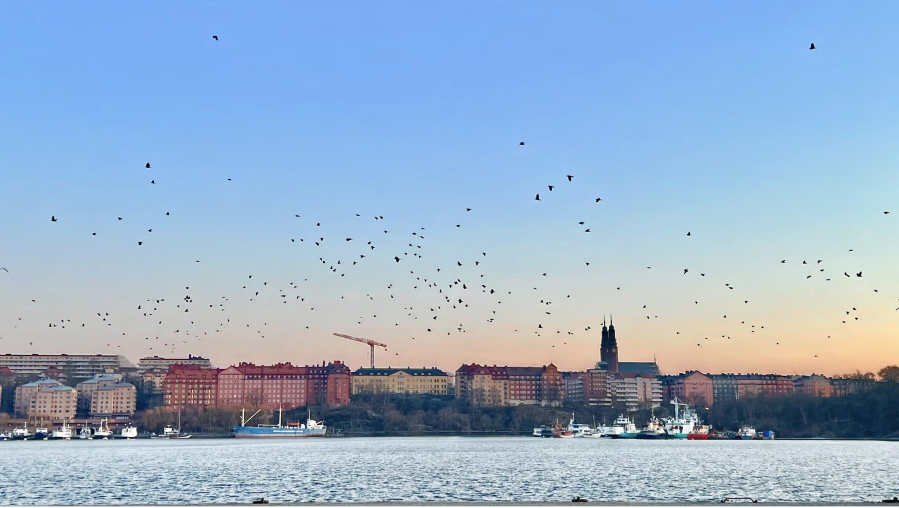 Cinematic photograph by Matthieu Delacour